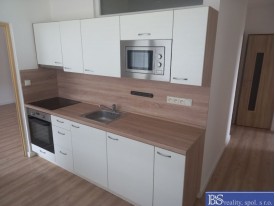 Prodej bytu 3+1 L Střekov